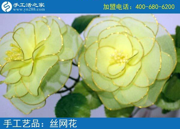 你見過這么漂亮的絲網(wǎng)花嗎？純手工制作廢物利用 花的世界花的海洋！(圖4)