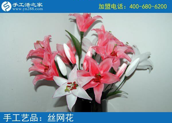 你見過這么漂亮的絲網(wǎng)花嗎？純手工制作廢物利用 花的世界花的海洋！(圖3)