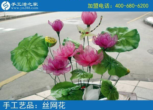 你見過這么漂亮的絲網(wǎng)花嗎？純手工制作廢物利用 花的世界花的海洋！(圖5)