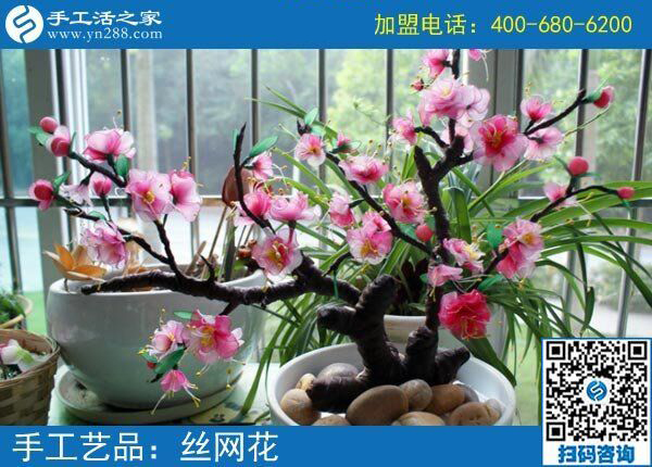 房?jī)r(jià)貴買不起，她卻不放棄，3年了，黑龍江雞西唐女士用這個(gè)追逐夢(mèng)想