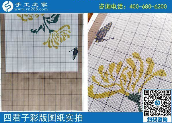 手工之家雅薇麗珠繡圖紙（梅蘭竹菊）新款，彩色升級(jí)版！(圖4)