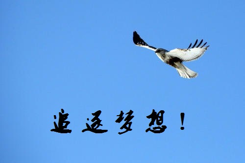 追夢路上，付出和堅守就是成功的秘訣-------手工之家新疆阿克蘇地區(qū)某加工會員成長記(圖1)