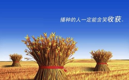 （干貨）分享：判斷在家做的手工活加工項目的正規(guī)性，這幾個角度要注意(圖3)