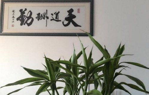 （干貨）分享：判斷在家做的手工活加工項目的正規(guī)性，這幾個角度要注意(圖5)
