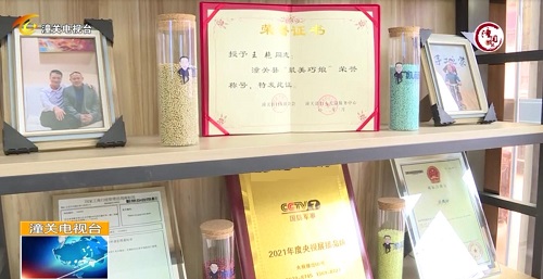 用心去種，才能成就一棵能擋雨納涼的大樹(shù) --- --- 手工之家植樹(shù)節(jié)有感
