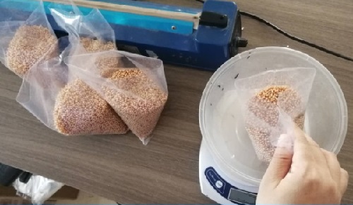 居家掙錢手工活，大家長(zhǎng)期喜歡做的串珠繡外發(fā)手工活(圖1)