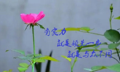 手工活接單正規(guī)平臺(tái)，有實(shí)力的手工廠(chǎng)家是啥樣的？
