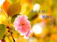 不一樣的五·一，用一樣的心去努力