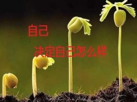 能在家做的手工副業(yè)，你是否能做純手工項(xiàng)目掙錢？