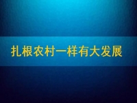 在家能做的兼職正規(guī)可靠，扎根農(nóng)村一樣有大發(fā)展