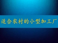 適合農(nóng)村的小型加工廠，月入2萬不算多，你有時間也能做