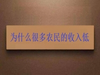 為什么很多農(nóng)民的收入低？這2點做好了，在家兼職手工活收入是杠杠滴