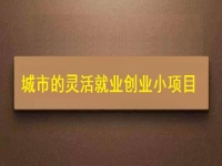 適合城市靈活就業(yè)創(chuàng)業(yè)的小項目，正規(guī)純手工多了1項收入
