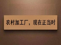 這個農(nóng)村加工廠項目，沒關(guān)系、沒錢也可以做好，你還等什么？