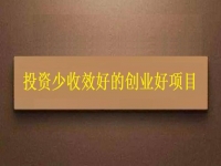 投資不到3萬，1個人就能干，利潤很高，每天收入能上千，我能做嗎