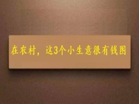都說在農村不好賺錢，可以試試這幾個小生意，很有“錢”圖
