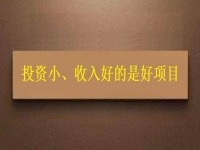 投資這么小，為什么收入?yún)s能這樣好？這個拿回家做的手工項目給出了答案
