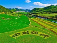 普通人應該如何抓住鄉(xiāng)村振興創(chuàng)業(yè)風口？
