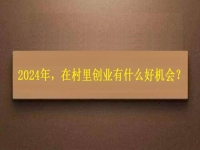 2024年，在村里創(chuàng)業(yè)還有什么好機(jī)會？