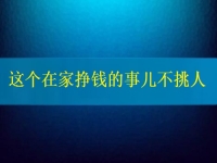 這個(gè)在家掙錢的事兒不挑人，2024要掙錢，你我就靠它了