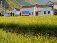 適合農(nóng)村個(gè)人在家創(chuàng)業(yè)的項(xiàng)目，好做的純手工有兩份收入