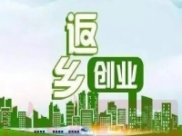 除了種地，不外出打工，在農(nóng)村還能怎樣掙錢？很多人低成本創(chuàng)業(yè)做手工傳承官