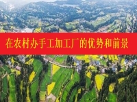 發(fā)掘農(nóng)村優(yōu)勢，讓返鄉(xiāng)創(chuàng)業(yè)開手工加工廠成為更多人掙錢增收的好辦法