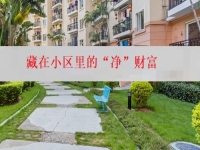 在城里創(chuàng)業(yè)辦純手工加工廠，就是找到了藏在小區(qū)里的“凈”財富