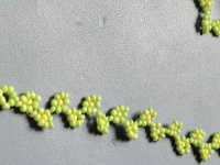 7月19日，附近有沒有兼職手工活，在家做的手工副業(yè)，開手工加工廠，做手工傳承官，在手工之家，每一種合作都有成熟的服務和支持，圖為串珠米珠繡純手工產(chǎn)品剪影