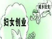 農(nóng)村創(chuàng)業(yè)、城市創(chuàng)業(yè)，家庭主婦等女士做手工傳承官都是自帶優(yōu)勢(shì)