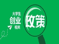大學(xué)生輕資產(chǎn)創(chuàng)業(yè)，做手工傳承官,讓優(yōu)勢更有優(yōu)勢
