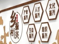 不打工，在農(nóng)村做什么好？不負時光，純手工活兒整出好“錢”景