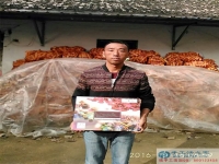 河南周口農民賈先生找到適合婦女在家做的手工活兼職