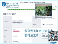 這個彩珠繡串珠手工活真是正規(guī)供料的手工活。黑龍江密山武女士說
