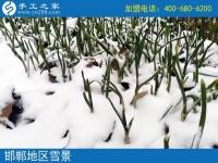 雪天串珠繡，足不出戶在家賺錢！邯鄲魏縣賈女士的手工活兼職記