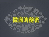 做微商怎樣才能賺到錢，行業(yè)大佬說建設(shè)銷售體系很重要
