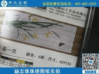 8月28日，這里的珠繡外發(fā)手工活是真的嗎？帶回家做的前景如何？手工之家勵(lì)志珠珠繡手工加工相關(guān)實(shí)拍