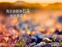 做微商賺不到錢？你是不是犯了這個(gè)錯(cuò)誤