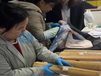 在家庭工作做手工活外接串珠子，常年輕松快樂把錢賺